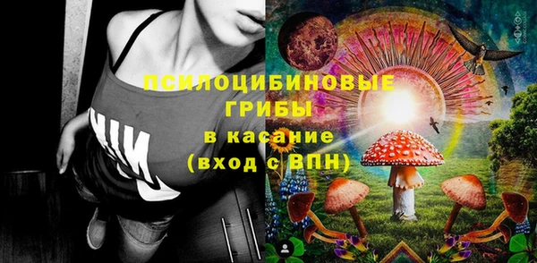 твердый Абаза