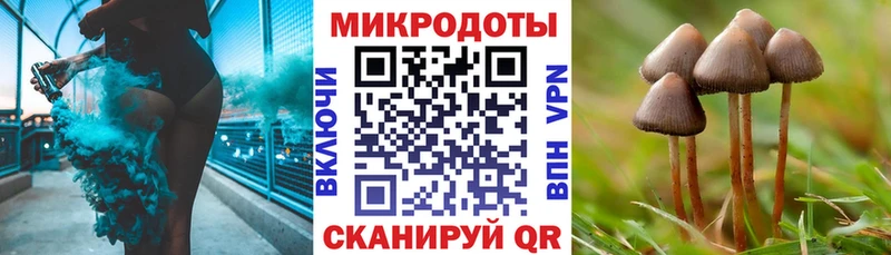 закладки  Новое Девяткино  Псилоцибиновые грибы ЛСД 
